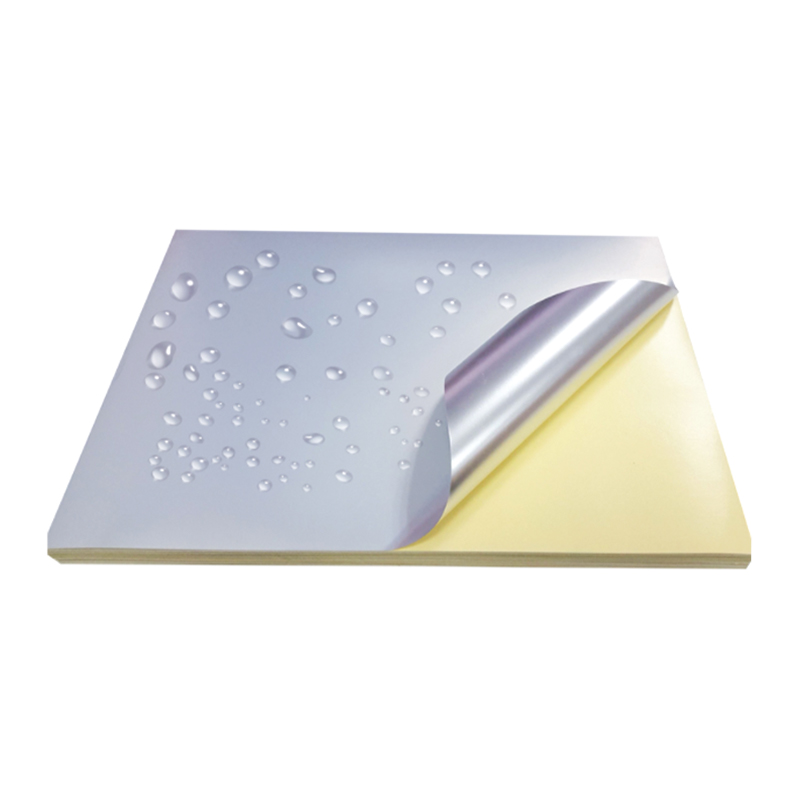 50um srebrna mat folija za kućne ljubimce sa žutom silikonskom oblogom